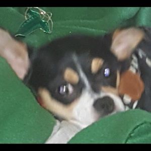 Meet your Posher, Theresa